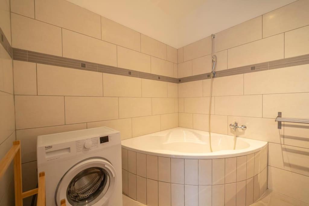 Appartement Spacious Mitten In Vienne